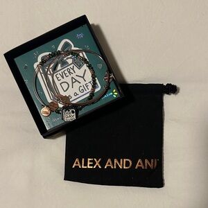 Alex and Ani “every day is a gift” holiday collection bracelet
